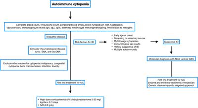 Pathogenesis of Autoimmune Cytopenias in Inborn Errors of Immunity Revealing Novel Therapeutic Targets